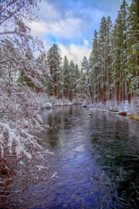METOLIUS-WINTER